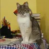 Отзыв от Инга Виноградова